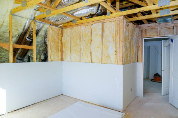 Best Commercial Insulation in Red Lick, TX